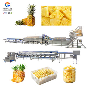 Ligne de production industrielle d'ananas, machine de lavage, de pelage et de découpe d'ananas, capacité de 1 à 1,5 t/h, usine de transformation d'ananas - Product Image 1