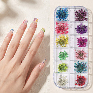 12 Grilles d'autocollants pour ongles Papillon Illusoire, style français, décalcomanies 3D en PET pour la décoration de manucure et nail art - Product Image 2