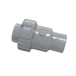 CPVC-Rückschlag ventil armatur für die industrielle Wasser versorgung und-entwässerung SCH80 Korrosions beständige CPVC-Druckrohre und-armaturen - Product Image 1