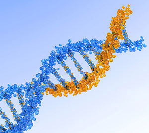 שמן דגים בדרגת מזון 10%/18%/30% DHA רב-סוגי RTG/TG/EE חומר גלם לבריאות - Product Image 4