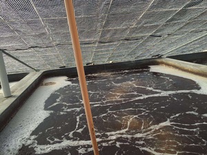 Telo in HDPE rinforzato da 150 g/m² per serra, 85% ombreggiante, bianco e nero <span class=keywords><strong>a</strong></span> quadri, per l'allevamento di funghi e l'agricoltura - Product Image 6