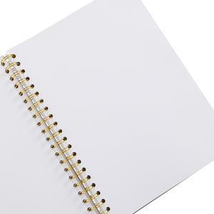 Commercio all'ingrosso personalizzato a buon mercato Bulk Coil Binding grande quaderno a spirale <span class=keywords><strong>A4</strong></span> carta senza legno 100 <span class=keywords><strong>fogli</strong></span> - Product Image 1
