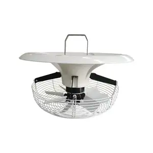 Nice Price Greenhouse Ventilation Exhaust Fan Hot Air Circulation Fan