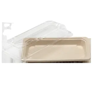 Recyclable Bagasse Sushi Packaging Pulp Sugarcane Tray Food Takeout box Sashimi Plates with PET anti-fog lid