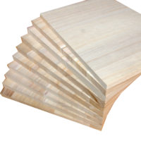 Planche à briser en bois massif de Paulownia pour l'entraînement aux arts martiaux de Taekwondo