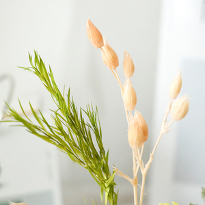 Yongsheng Flower - Ramo de Flores Importadas de Hierba Voladora, Venta al por Mayor de Fábrica, Decoración para el Hogar - Product Image 5