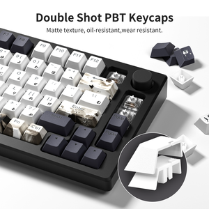 Xvx เกมพีซีโพรไฟล์เชอร์รี่ญี่ปุ่นส่องแสงผ่านการยิงสองด้านสีย้อม5-ชุดคีย์ PBT ซับ (กุญแจ133) - Product Image 5