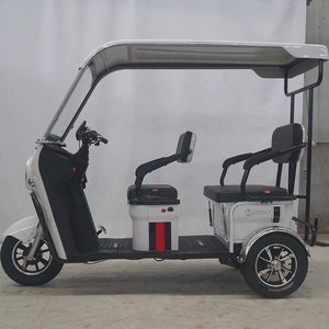 Triciclos eléctricos Asientos dobles Adultos 650W 20AH/32AH <span class=keywords><strong>Triciclo</strong></span> eléctrico de turismo con asiento trasero plegable de lujo - Product Image 3