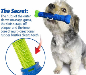 Fábrica transfronteiriça nova CHEWBRUSH cão Molares Pet Molares Brinquedos New Dog Toothbrush - Product Image 4