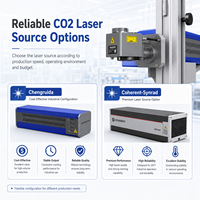 Machine de marquage laser CO2 Faith 40W, graveur Galvo en ligne, codeur en temps réel pour ligne de production et emballage
