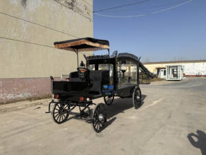 Fabricantes de Carrozas Fúnebres, Carroza Fúnebre Eléctrica, Carroza Fúnebre Clásica en Venta - Product Image 2