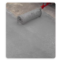 Revêtement imperméable en ciment polymère transparent pour carrelage et murs, revêtement liquide écologique durable avec adhérence supérieure