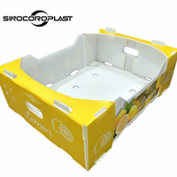 Emballage en plastique PP Corflute Boîte d'emballage de stockage en polypropylène ondulé en plastique citron fruits et légumes