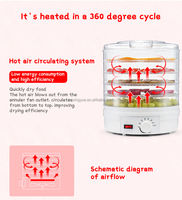 Déshydrateur Alimentaire Mini pour Maison, Économie d'Énergie, 350W, Contrôle de Température, 5 Plateaux, pour Viande, Bœuf, Fruits et Légumes