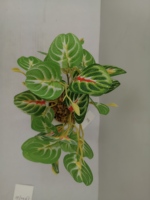 Tanaman buatan dan dekorasi Pot bunga dalam ruangan pohon daun hijau dan merah untuk rumah baru Natal Tahun Baru