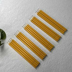 Crayons de couleur à pousses personnalisés, oubliez-moi, non fabriqués à partir de crayons à plantes en bois certifiés - Product Image 5