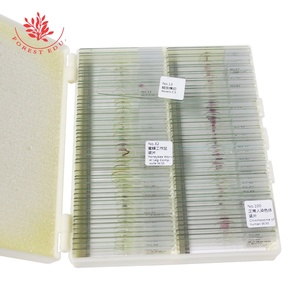 准备幻灯片木箱一般种类自然科学和教学学习200件准备幻灯片 - Product Image 3