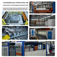 Lits à ressorts sur mesure de haute qualité, taille Queen, taille King, meilleur mousseur à mémoire de forme compressé, double ressort, matelas en mousse