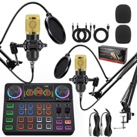 Carte son V8S Live Sound Card BM800 avec micro cantilever dédié pour podcast mobile, batterie 300-500 mAh
