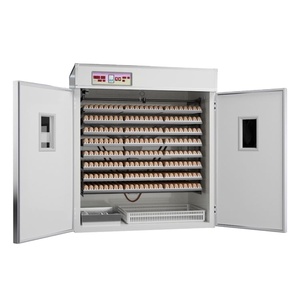 <span class=keywords><strong>Amazon</strong></span> Tuner Machine automatique pour le poulet Les fermes américaines utilisent de grandes couveuses industrielles pour l'éclosion d'œufs 5000 pièces - Product Image 1