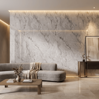 Dalles de sol et de mur en pierre frittée Camou White 1600x3200, épaisseur 12 mm, design moderne, résistantes à l'usure, antidérapantes, pour salle à manger