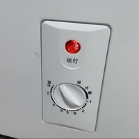 En stock Congélateur commercial 118L Congélateur domestique Réfrigérateur à congélation complète Appareil de cuisine à porte unique Autres pièces