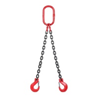Chaîne de levage en acier allié soudé, multi-brins, grade G80, finition noire, avec crochet, marque QRE, modèle G80