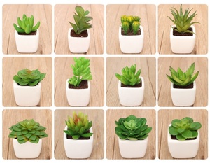 A-3063 Vaso in Ceramica con <span class=keywords><strong>Piante</strong></span> Succulente <span class=keywords><strong>Artificiali</strong></span> per Decorazione d'Interni - Product Image 3
