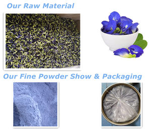 100% naturale puro solubile in acqua per uso alimentare organico farfalla pisello fiore blu Matcha tè in polvere - Product Image 5