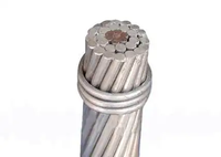 Cables Eléctricos de Aluminio Desnudo de Alta Calidad al por Mayor, Cables de Potencia Eléctrica, Trenzados Concéntricos, para Estaciones de Baja Potencia