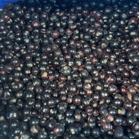 Hot Selling Iqf Frozen Blackcurrent Verse Prijzen In Bulkverpakking Groothandel Iqf Bevroren Fruit
