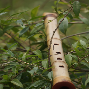 Flauta rústica de bambú natural con veta de madera visible, instrumento musical tradicional de viento en madera, disponible a precios al por mayor. - Product Image 1