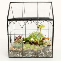 Terrarium en verre fait main Tuoxin, style contemporain, transparent, tailles/formes personnalisables, logo sur mesure, vase de table polyvalent – Meilleures ventes
