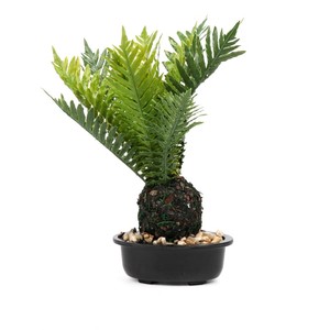 Verde Artificial hoja de <span class=keywords><strong>palma</strong></span> plantas de plástico jardín hogar decoraciones Scutellaria Tropical árbol plantas falsas - Product Image 6
