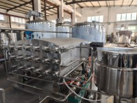 Complete automatische kokoswater- en sapverwerkingslijn met sapcentrifuge en 100% kokoswater vulmachine