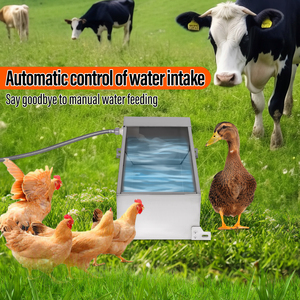 <span class=keywords><strong>Abreuvoir</strong></span> automatique pour volailles, bétail et chevaux en acier inoxydable, 50,5 cm * 20,5 cm - Product Image 5