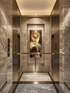 Ascenseur de passagers de style moderne 1000 kg avec entraînement AC et machine de traction sans engrenages pour utilisation dans les centres commerciaux de 10 étages - Product Image 4