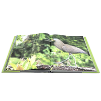Servicio de Impresión de Libros de Fotografía de Naturaleza con Tapa Dura Personalizada, Publicaciones de Guías de Viaje al por Mayor, Impresión de Imágenes de Paisajes