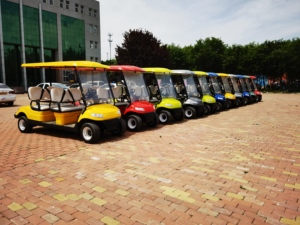 TONGCAI Road Legal Metal Frame 96v Scooters <strong>Batteries</strong> Diff Push <strong>24</strong> <strong>Volt</strong> Lithium <strong>Battery</strong> Electric Motor Golf Buggy for Sale - Product Image 6