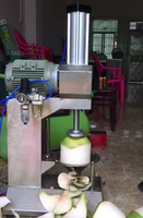 Machine électrique à décortiquer la noix de coco verte, machine à éplucher et à façonner les jeunes fruits de coco, équipement de retrait de la peau de noix de coco