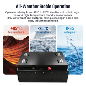 Maintenance Free 48V 280Ah Forklift Lithium Battery Lead Acid Replacement LiFePO4 for 2 Ton Electric Reach Trucks - Product Image 5