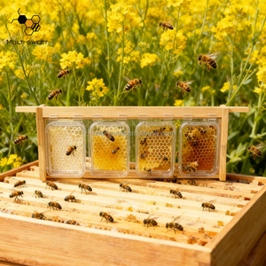 Venta al por mayor de alimentos de plástico transparente Honey Comb Box Honey Cassette Container para British Beehive Frame - Product Image 6
