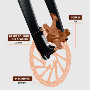 <span class=keywords><strong>Fourche</strong></span> <span class=keywords><strong>rigide</strong></span> TOSEEK en fibre de carbone pour VTT, frein à disque, 29 pouces, montage de tige 28,6 mm, <span class=keywords><strong>fourche</strong></span> avant conique, pièces de vélo - Product Image 2