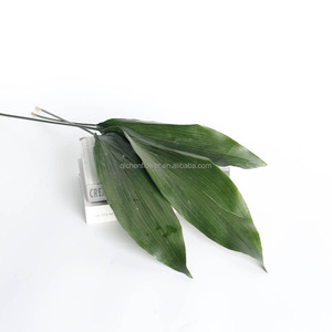 ใบแอสปิไดสตราสำหรับจัดดอกไม้ ใบไม้สีเขียวสด ขายส่งใบแอสปิไดสตรา ต้นไม้ตกแต่งภายในอาคาร ใบสด - Product Image 5