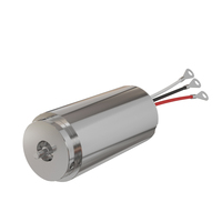 Motores de CC sin Escobillas FEDI TECH de 24 V, 20000 RPM, 200 W, Marco de 32 mm para Herramientas Eléctricas, Soporte Personalizado, Rotación Interna