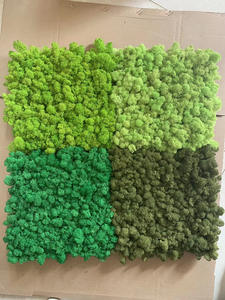 Vente en gros de renne sec naturel, <span class=keywords><strong>panneau</strong></span> mural de mousse verte éternelle préservé, art mural de mousse vivante pour la décoration intérieure, remise des diplômes de la fête des mères - Product Image 2
