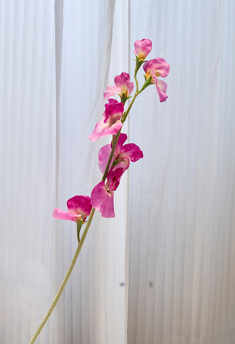 สีชมพูเข้ม