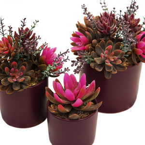 Natural Real Landscape Room decorazione per interni piccoli <span class=keywords><strong>Bonsai</strong></span> <span class=keywords><strong>Mini</strong></span> piante succulente artificiali - Product Image 4