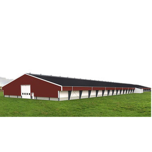 Abri de ferme préfabriqué en acier économique pour l'élevage de poulets et les nichoirs avec garantie de 5 ans - Product Image 4