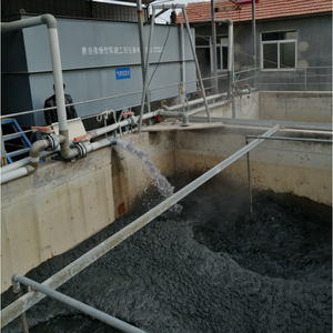 Máquina de flutuação de ar dissolvido para planta de tratamento de águas residuais de fábrica de tingimento/impressão Equipamento de tratamento de esgoto DAF - Product Image 5